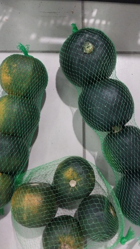 [31016393] 2PLATEAU DOREE CARRE